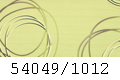 54049/1012