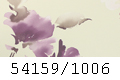 54159/1006
