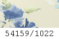 54159/1022
