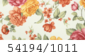 54194/1011