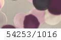 54253/1016