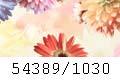 54389/1030