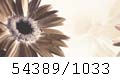 54389/1033