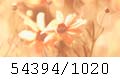 54394/1020