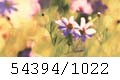 54394/1022