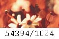 54394/1024