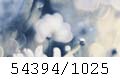 54394/1025