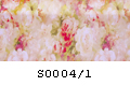 S0004/1