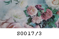 S0017/3