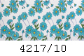 4217/10
