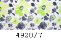 4920/7