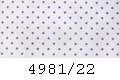 4981/22