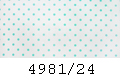 4981/24