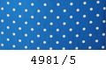 4981/5