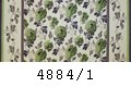 4884/1