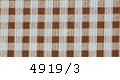 4919/3