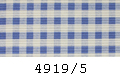 4919/5