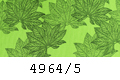 4964/5