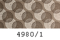 4980/1