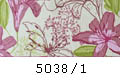 5038/1