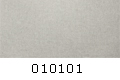 010101