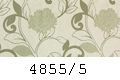4855/5