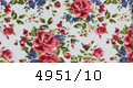 4951/10