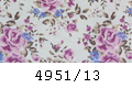4951/13