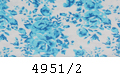 4951/2