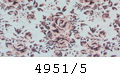 4951/5
