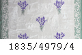 4979/4
