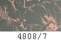 4808/7