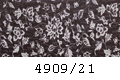 4909/21