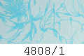 4808/1