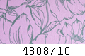 4808/10