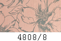 4808/8