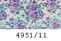 4951/11