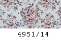4951/14