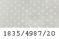 4987/20
