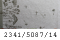 5087/14