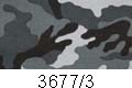3677/3