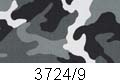3724/9