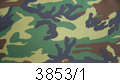 3853/1