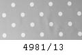 4981/13