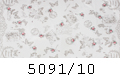 5091/10