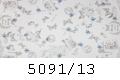 5091/13