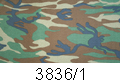 3836/1