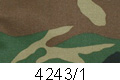 4243/1