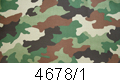 4678/1