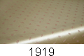 1919